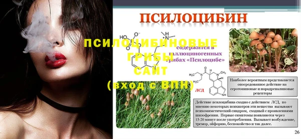 МДМА Богданович